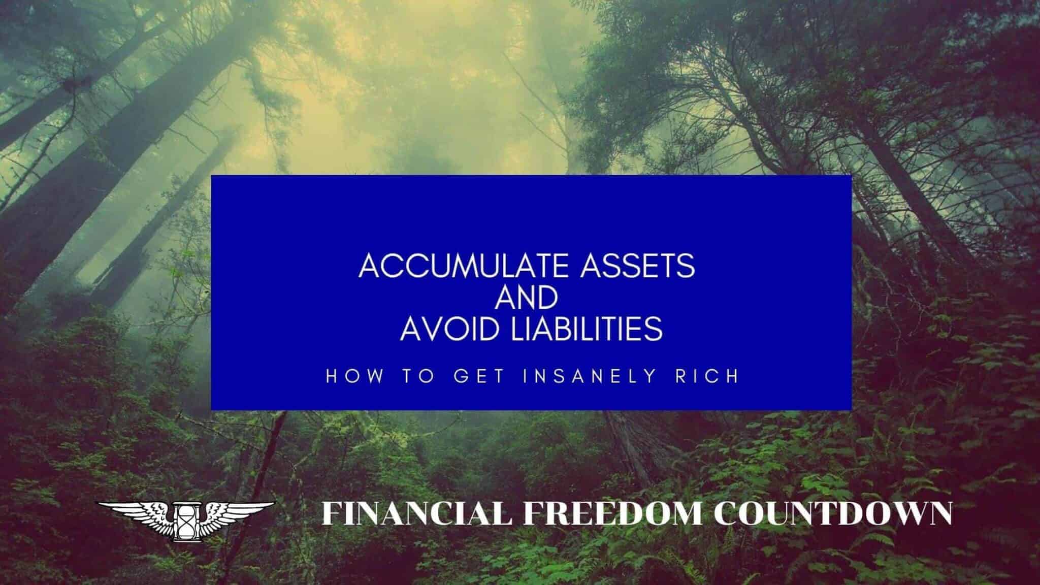 Accumulate Assets And Avoid Liabilities Best Assets To Buy Financial