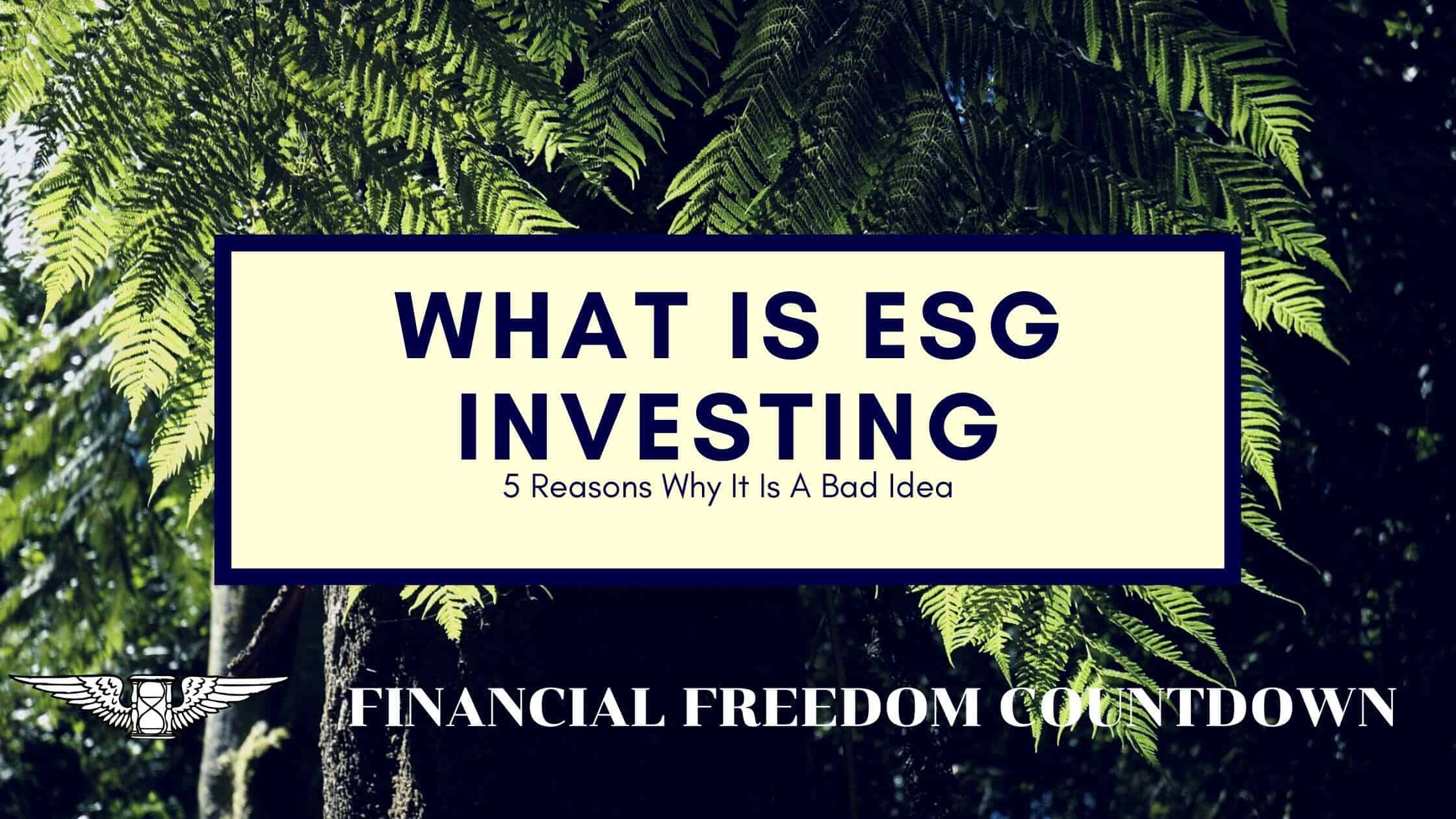 What Is ESG Investing