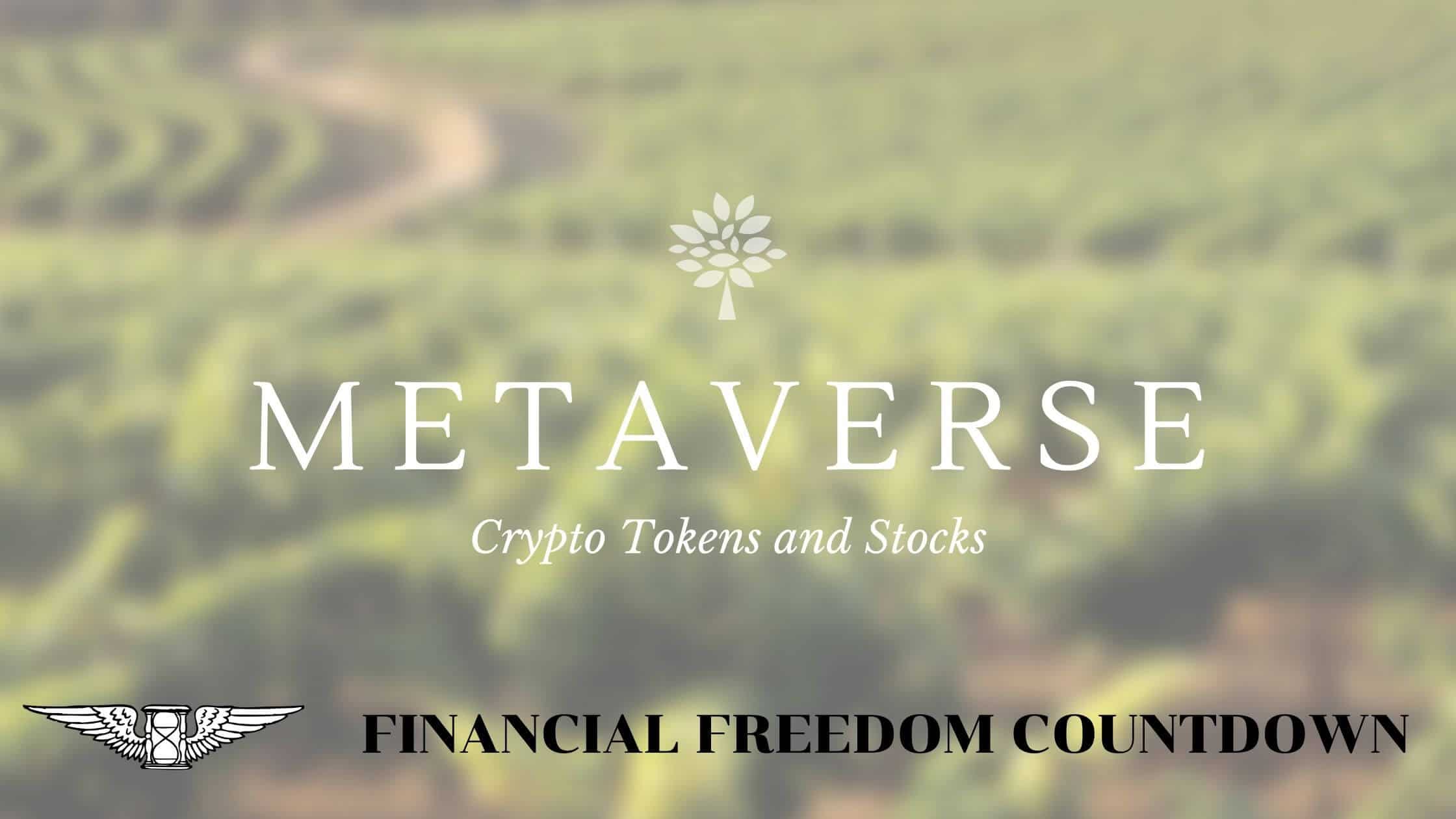 Metaverse Crypto