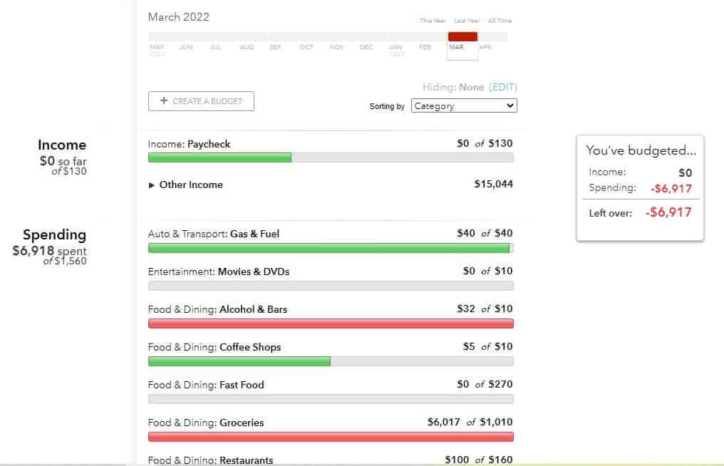 Mint Budget Template