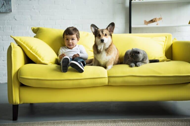 Discover the Ultimate Pet-Friendly Cities for Renters: Richmond, VA Tops the List