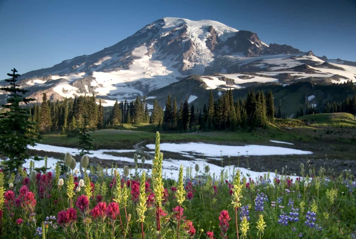 Mt. Ranier Washington State 