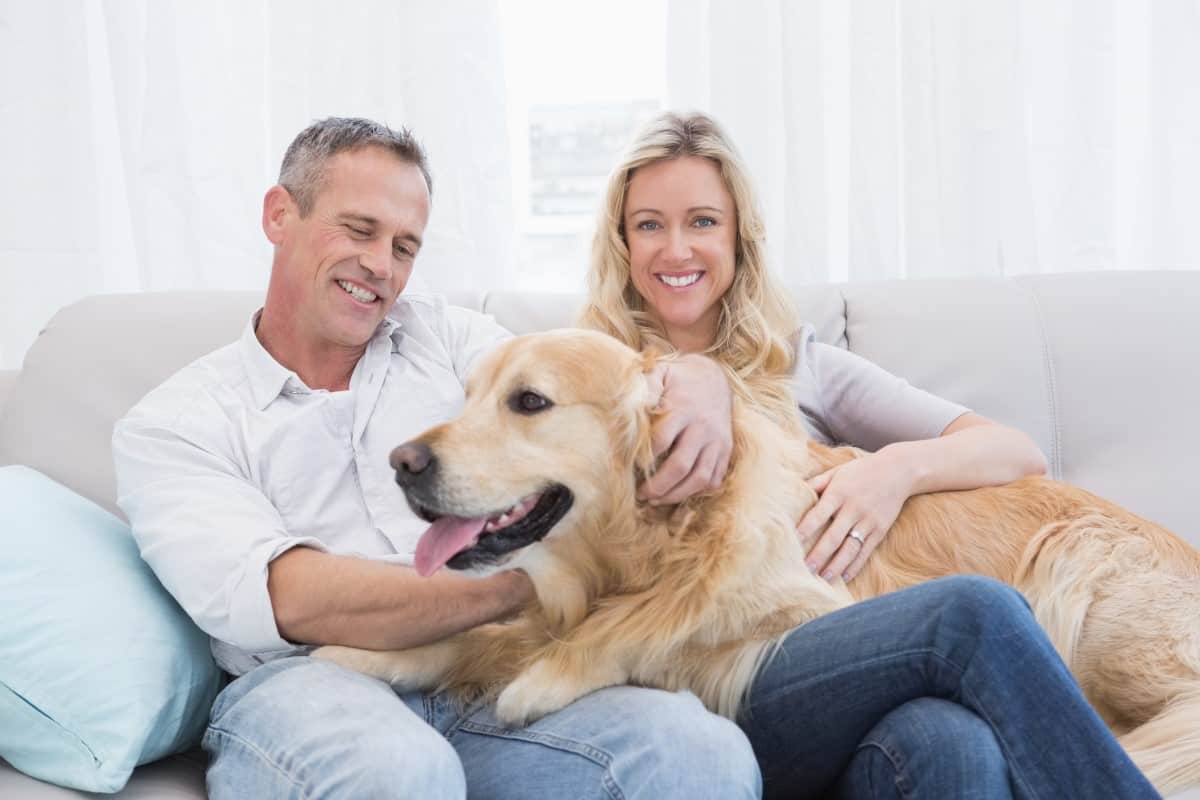 Smiling couple petting their golden retriever on the couch at home in the living room