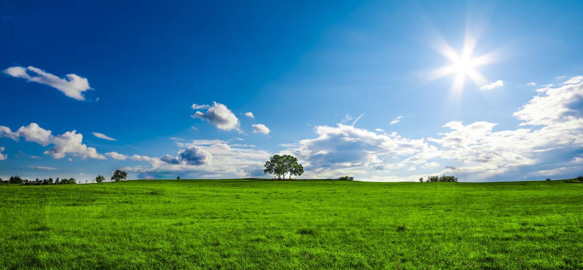 beautiful landscape with a lone tree, clouds and blue sky