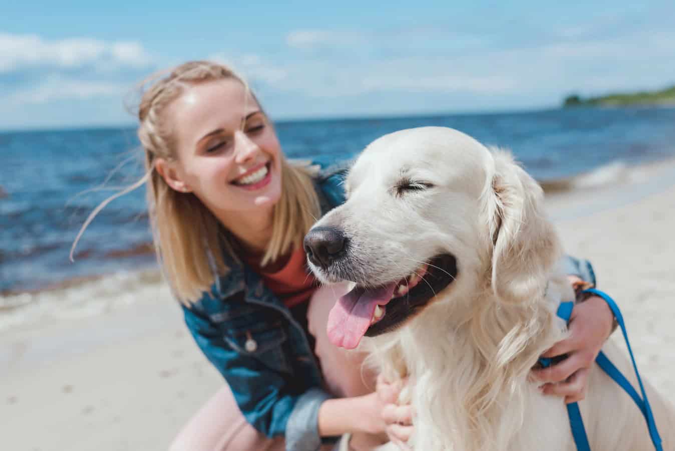 Happy woman sitting with golden retriever dog on sea shore