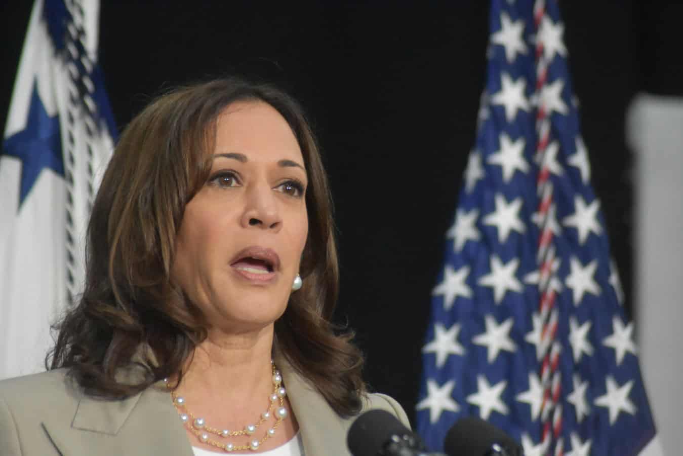 Depositphotos 581637922 L Kamala Harris Photo by thenews2.com