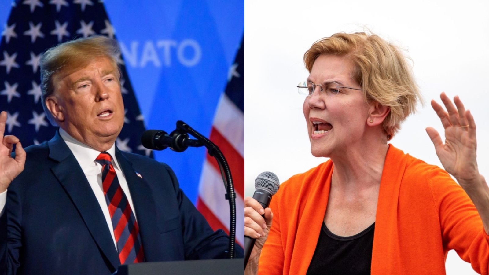 Donald Trump / Elizabeth Warren
