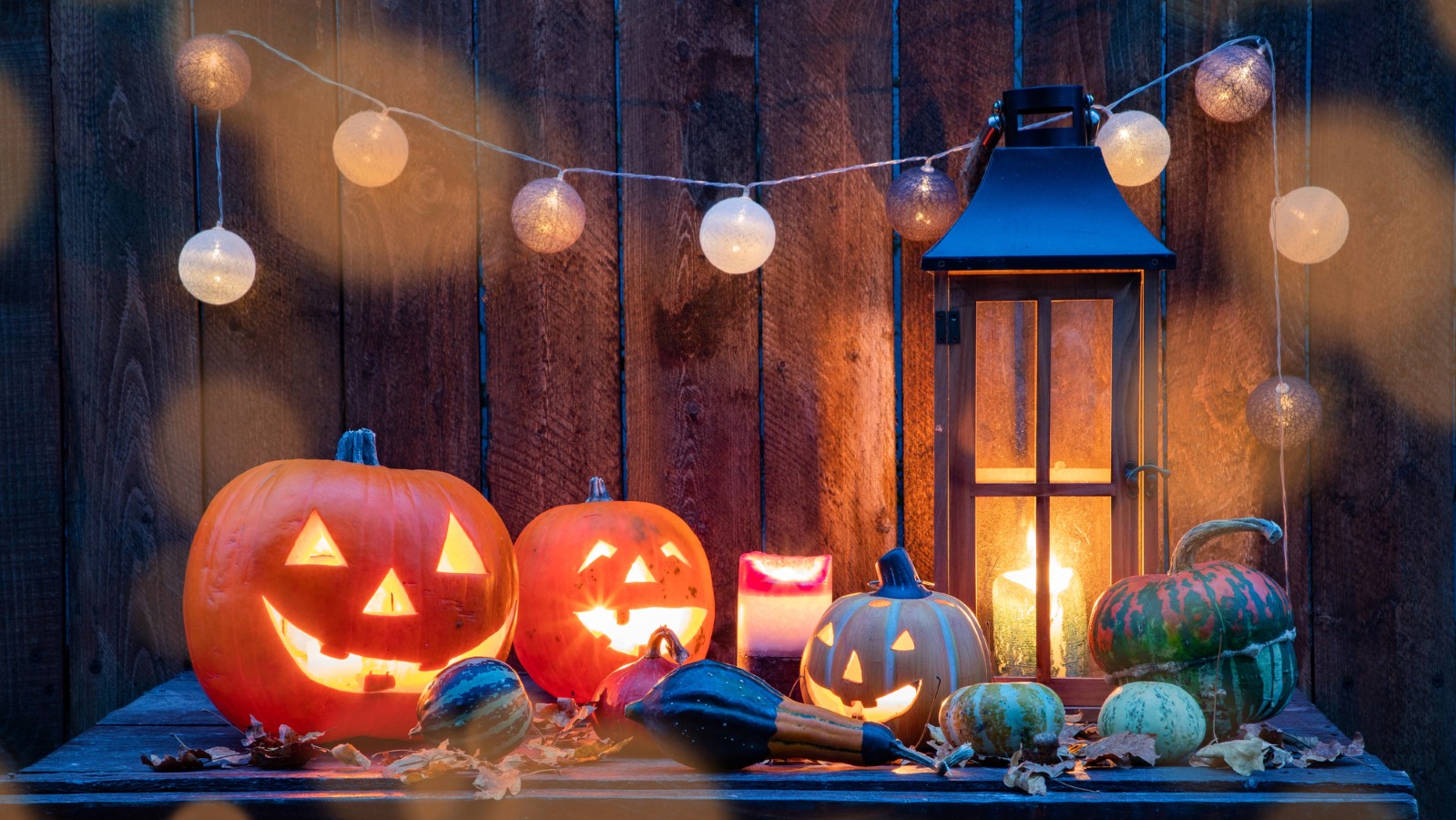 Democrat Rep. Jasmine Crockett Pushes New Bill to Halt Student Loan Payments for Federal Workers During Shutdown 12 Halloween with Jack O' Lanterns And Candles And String Lights